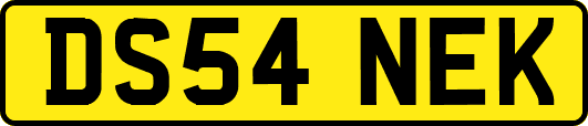 DS54NEK