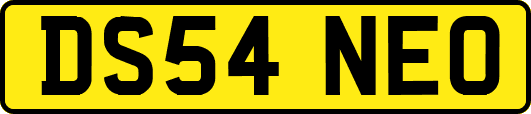 DS54NEO