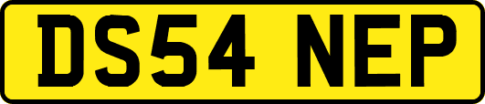 DS54NEP