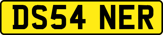 DS54NER