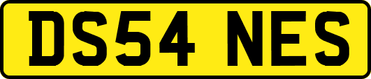DS54NES