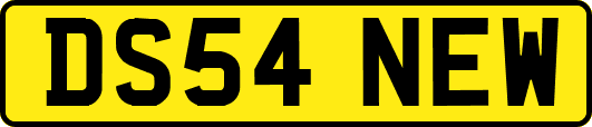 DS54NEW