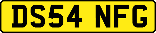 DS54NFG