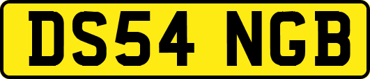 DS54NGB