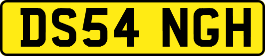 DS54NGH