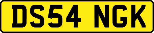 DS54NGK