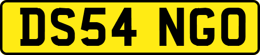 DS54NGO