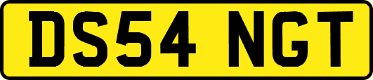 DS54NGT