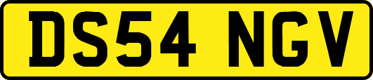 DS54NGV