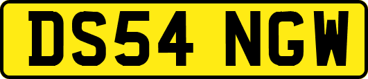 DS54NGW