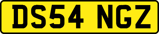 DS54NGZ
