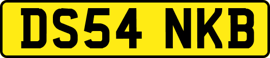 DS54NKB