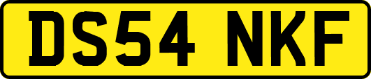 DS54NKF