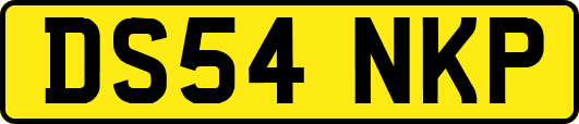 DS54NKP