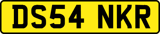 DS54NKR
