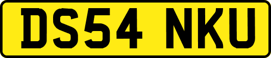 DS54NKU