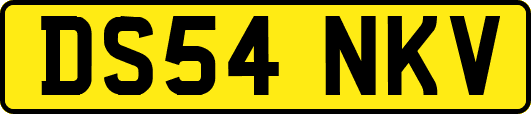 DS54NKV