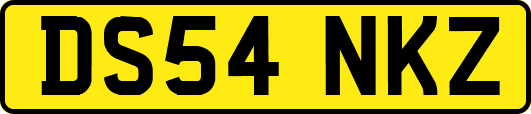 DS54NKZ