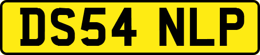 DS54NLP