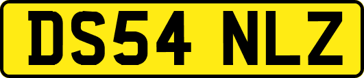 DS54NLZ