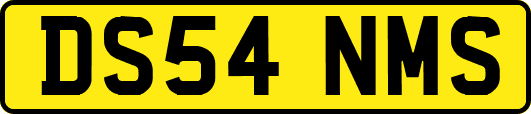 DS54NMS