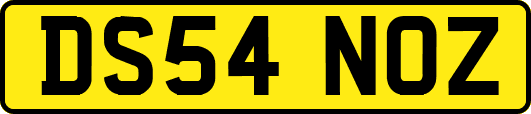 DS54NOZ