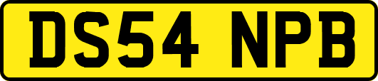 DS54NPB