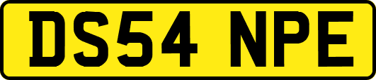 DS54NPE