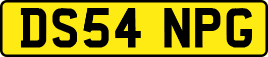 DS54NPG
