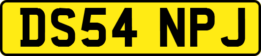 DS54NPJ