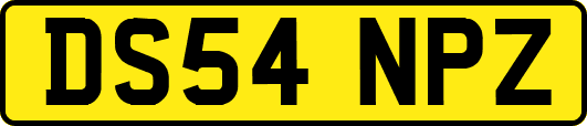 DS54NPZ