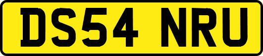 DS54NRU