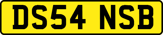DS54NSB
