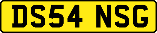 DS54NSG