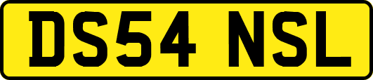 DS54NSL