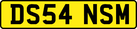 DS54NSM