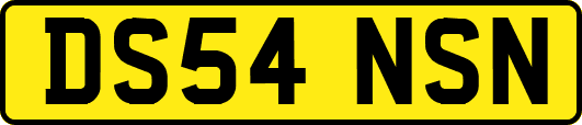 DS54NSN
