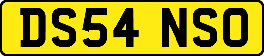 DS54NSO