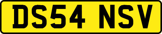 DS54NSV