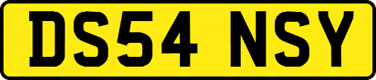 DS54NSY