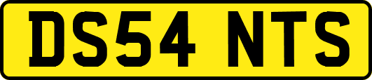 DS54NTS