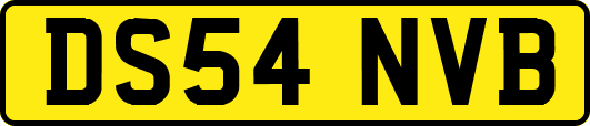DS54NVB