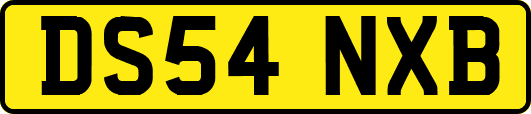 DS54NXB