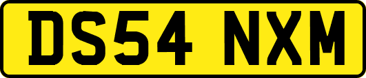 DS54NXM