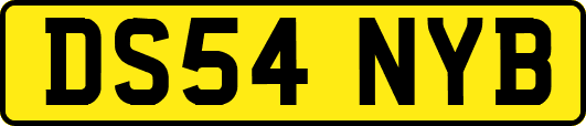 DS54NYB