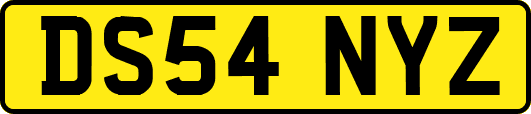 DS54NYZ