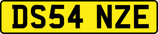 DS54NZE