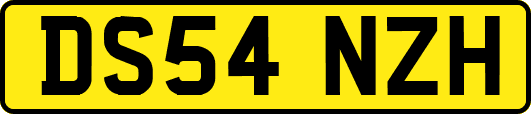 DS54NZH