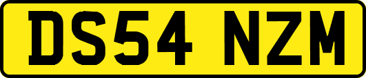 DS54NZM