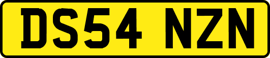 DS54NZN